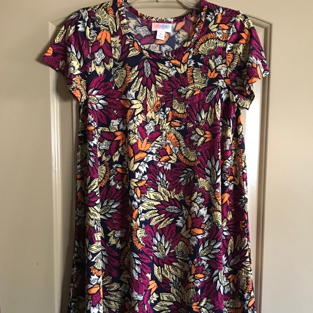 Lularoe Scarlett Dress Like New without Tags 10